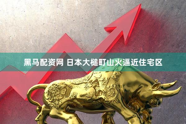 黑马配资网 日本大槌町山火逼近住宅区
